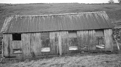 Hen hut in Roeburndale