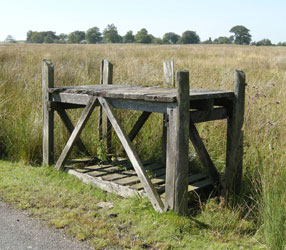 Milk Stand Lane Head