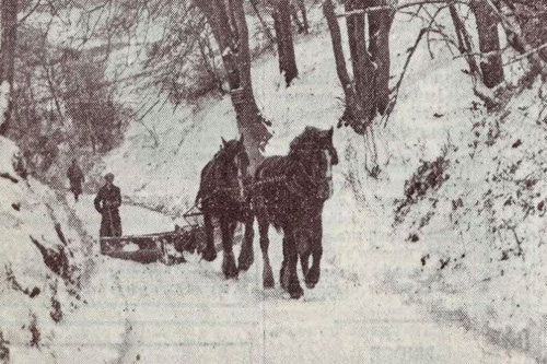 horse-drawn snowplough